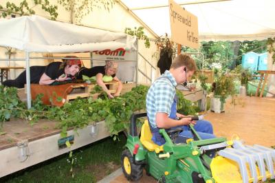 Foto des Albums: Dorffest 2017 in Waltersdorf