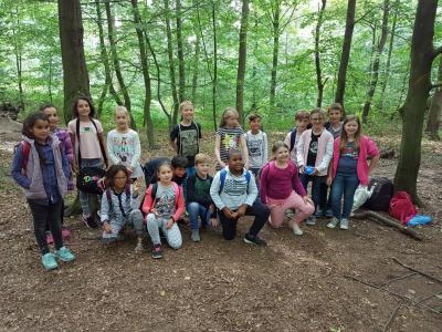 Foto des Albums: Besuch der Waldschule Cappenberg (23.06.2017)