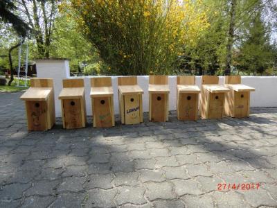 Foto des Albums: Wir bauen echte Nistkästen