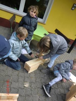 Foto des Albums: Wir bauen echte Nistkästen
