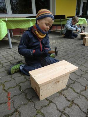 Foto des Albums: Wir bauen echte Nistkästen