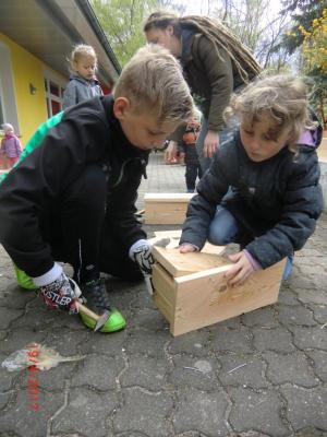 Foto des Albums: Wir bauen echte Nistkästen