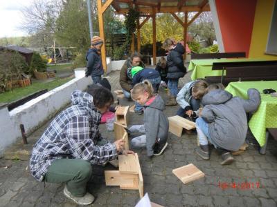 Foto des Albums: Wir bauen echte Nistkästen