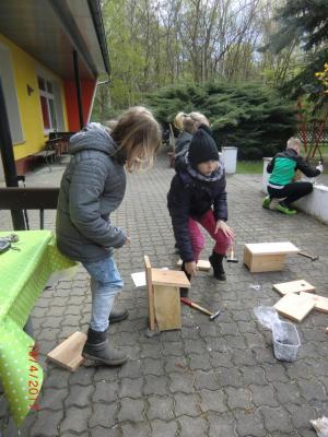 Foto des Albums: Wir bauen echte Nistkästen