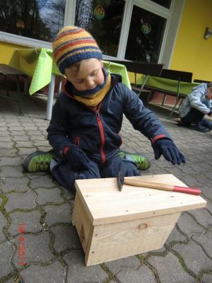 Foto des Albums: Wir bauen echte Nistkästen