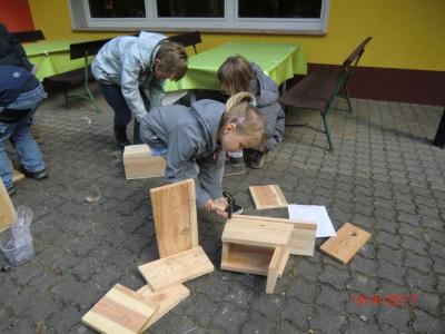 Foto des Albums: Wir bauen echte Nistkästen
