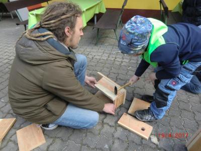 Foto des Albums: Wir bauen echte Nistkästen