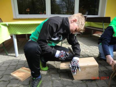Foto des Albums: Wir bauen echte Nistkästen