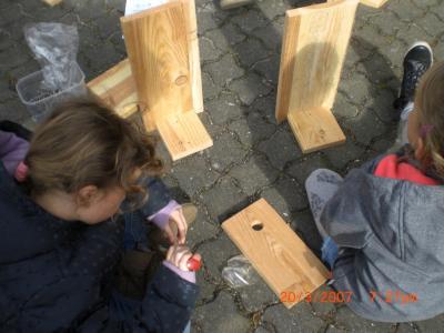 Foto des Albums: Wir bauen echte Nistkästen