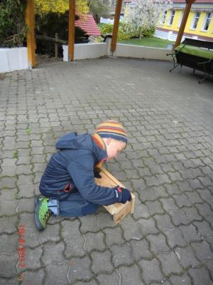 Foto des Albums: Wir bauen echte Nistkästen