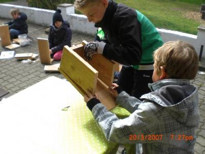 Foto des Albums: Wir bauen echte Nistkästen