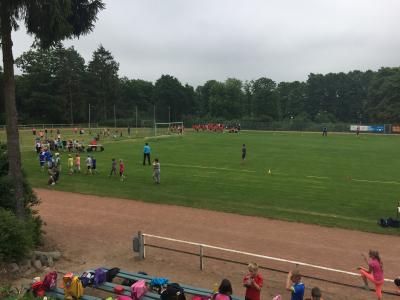 Foto des Albums: Sportfest