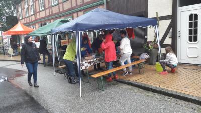 Foto des Albums: Stadtkirchentag