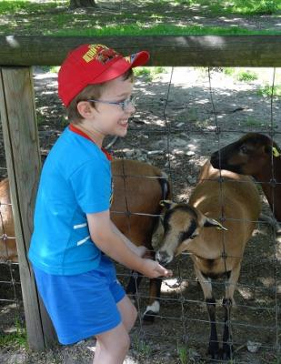 Fotoalbum EISs-Kinder besuchen den Wildpark Poing