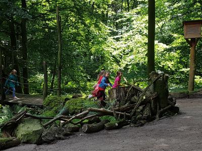 Foto des Albums: Zooschule