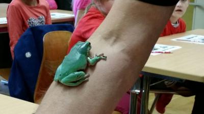 Foto des Albums: Zooschule