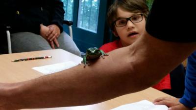 Foto des Albums: Zooschule