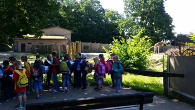 Foto des Albums: Zooschule