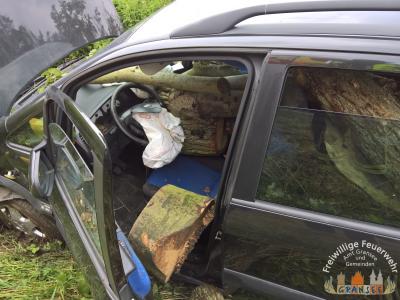 Die Kraftfahrer S&uuml;nde des Monats !!! 
