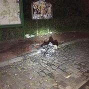 Foto des Albums: Einsatz Gebäudebrand
