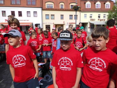 Foto des Albums: Belcantare 2017