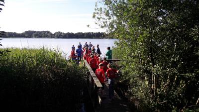 Foto des Albums: Drachenbootrennen der 4. Klassen