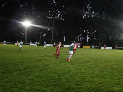 Foto des Albums: 8. Sommercup