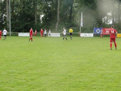 Foto des Albums: 8. Sommercup