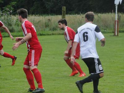 Foto des Albums: 8. Sommercup