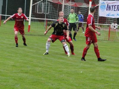 Foto des Albums: 8. Sommercup