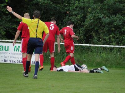 Foto des Albums: 8. Sommercup