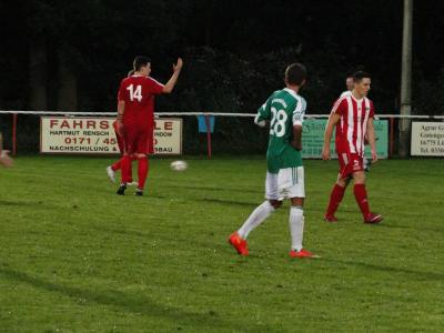 Foto des Albums: 8. Sommercup