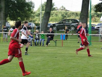Foto des Albums: 8. Sommercup