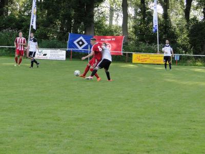 Foto des Albums: 8. Sommercup