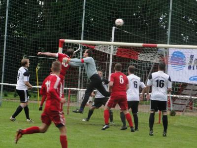 Foto des Albums: 8. Sommercup