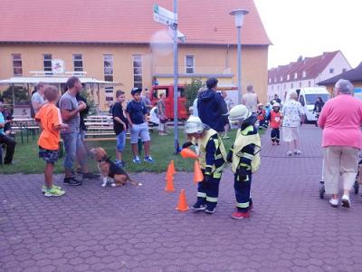 Foto des Albums: 2017 Vereins- und Brunnenfest