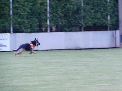 Foto des Albums: 2017 Vereins- und Brunnenfest