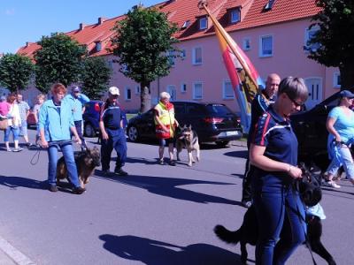 Foto des Albums: Brunnenfest 2017 Umzug