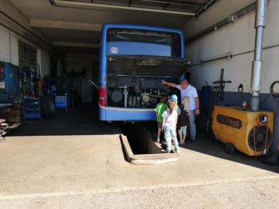 Foto des Albums: Ferienprogramm 2017 - Rund um den Bus
