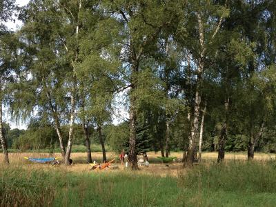 Foto des Albums: Sommerleseabenteuer