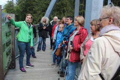 Auf dem Baumwipfelpfad -1-  (Bild vergr&ouml;&szlig;ern)