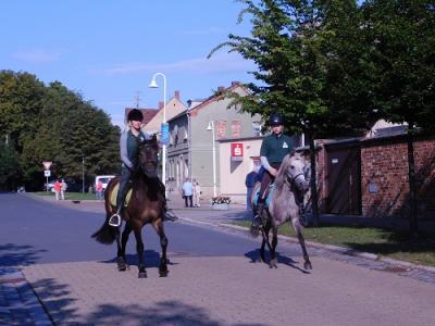 Foto des Albums: Heimat- und Schützenfest OT Frose 2017