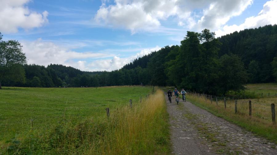Bild der Galerie
