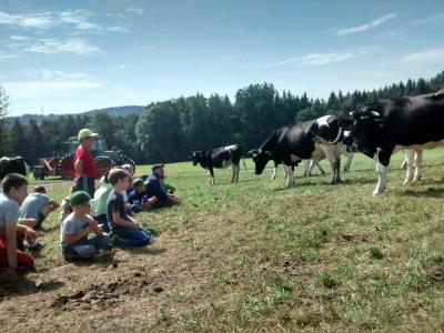 Foto des Albums: Ferienprogramm 2017 - Erlebnistag auf dem Bauernhof