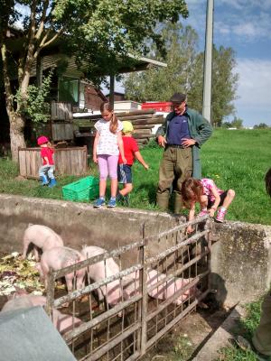 Foto des Albums: Ferienprogramm 2017 - Erlebnistag auf dem Bauernhof
