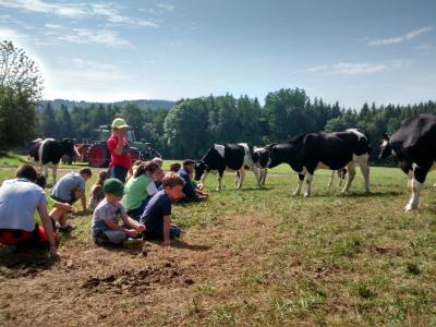 Foto des Albums: Ferienprogramm 2017 - Erlebnistag auf dem Bauernhof