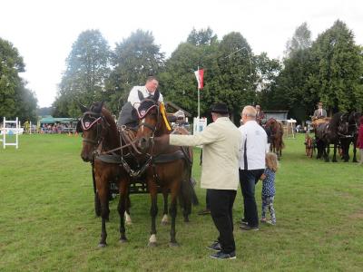 Foto des Albums: 3.Turniertag 66.Reit-und Fahrturnier (27.08.2017)