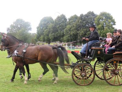 Foto des Albums: 3.Turniertag 66.Reit-und Fahrturnier (27.08.2017)