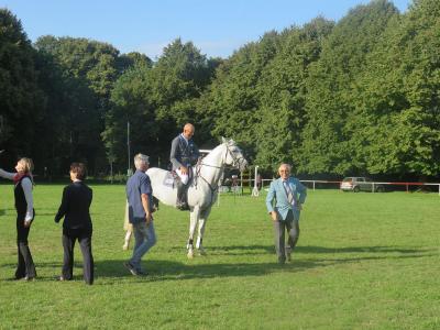 Foto des Albums: 3.Turniertag 66.Reit-und Fahrturnier (27.08.2017)