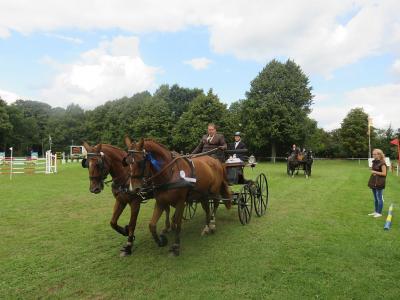 Foto des Albums: 3.Turniertag 66.Reit-und Fahrturnier (27.08.2017)